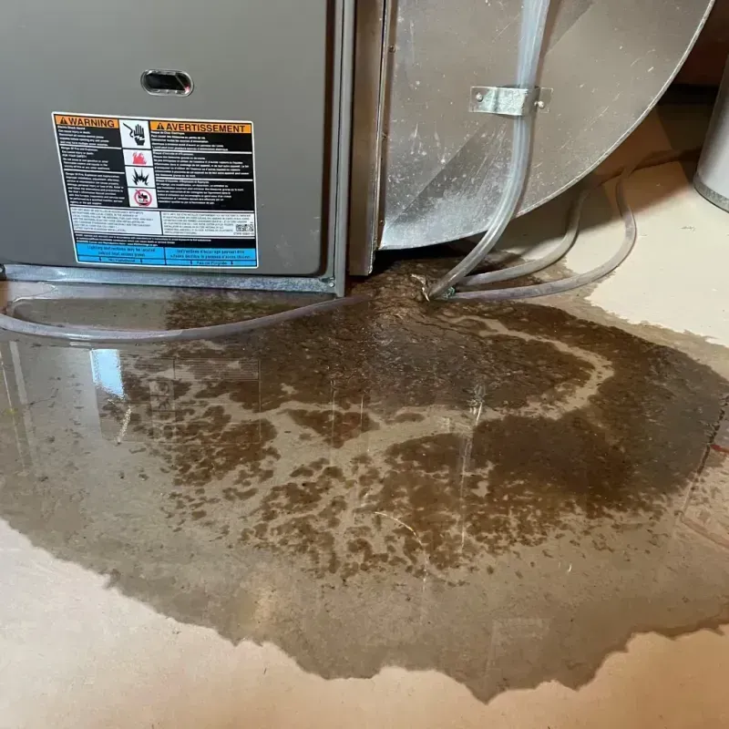 Appliance Leak Cleanup in Red Willow County, NE